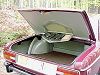 trunk view